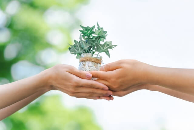 ③抗菌施工費の一部が国内森林保護に提供されます